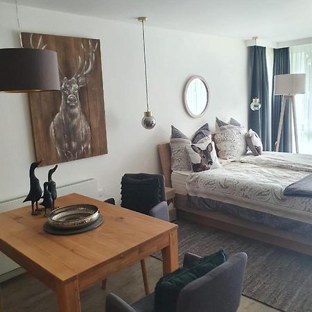Maurers Schlierseetraum 6, Studio 455 Mit 42 Qm Neu Renoviert, Erdgeschoss Mit Eingezaeunter Terrasse In Ruhiger Lage Am Kirchbichlweg 8 Εξωτερικό φωτογραφία