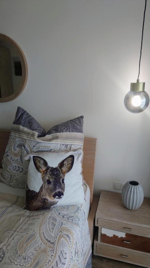 Maurers Schlierseetraum 6, Studio 455 Mit 42 Qm Neu Renoviert, Erdgeschoss Mit Eingezaeunter Terrasse In Ruhiger Lage Am Kirchbichlweg 8 Εξωτερικό φωτογραφία