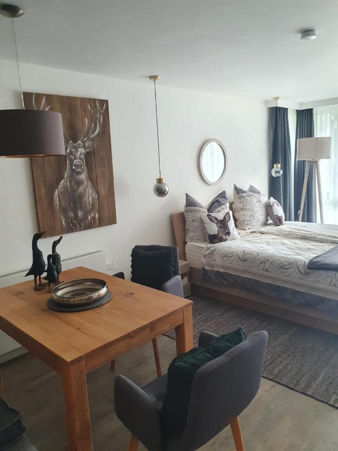 Maurers Schlierseetraum 6, Studio 455 Mit 42 Qm Neu Renoviert, Erdgeschoss Mit Eingezaeunter Terrasse In Ruhiger Lage Am Kirchbichlweg 8 Εξωτερικό φωτογραφία